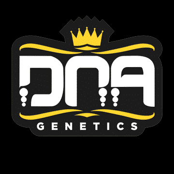DNA genetics