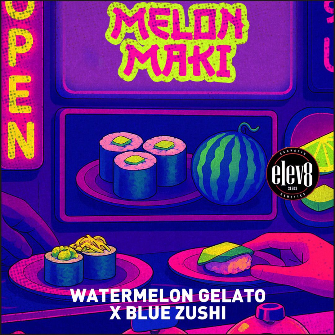 MELÓN MAKI 🍉🍭🍦