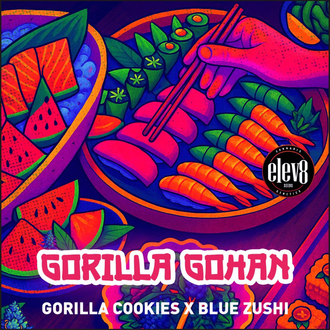 GORILLA GOHAN 🦍🍪⛽️
