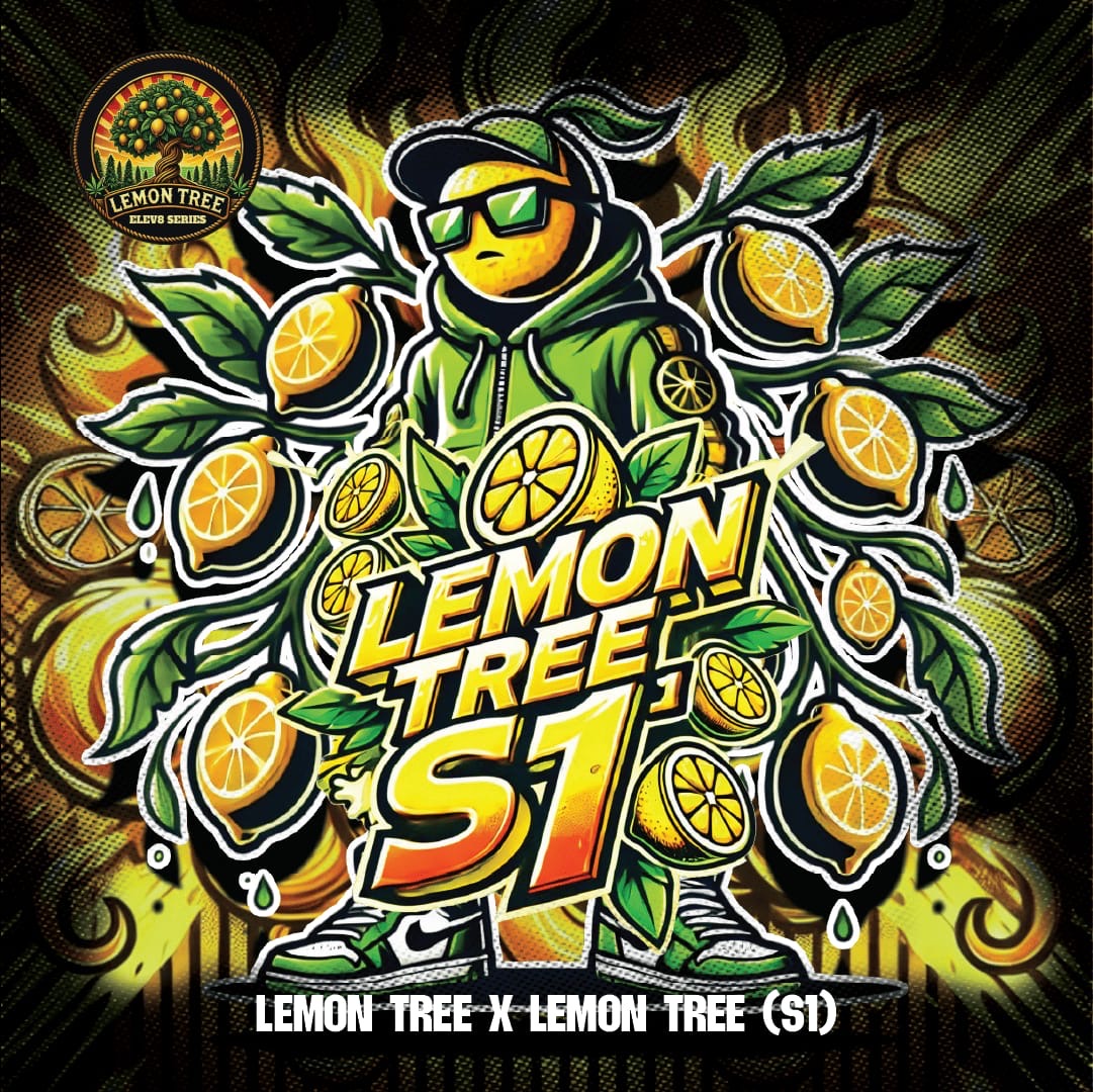 LEMON TREE S1 🍋‍🟩🍋🍋