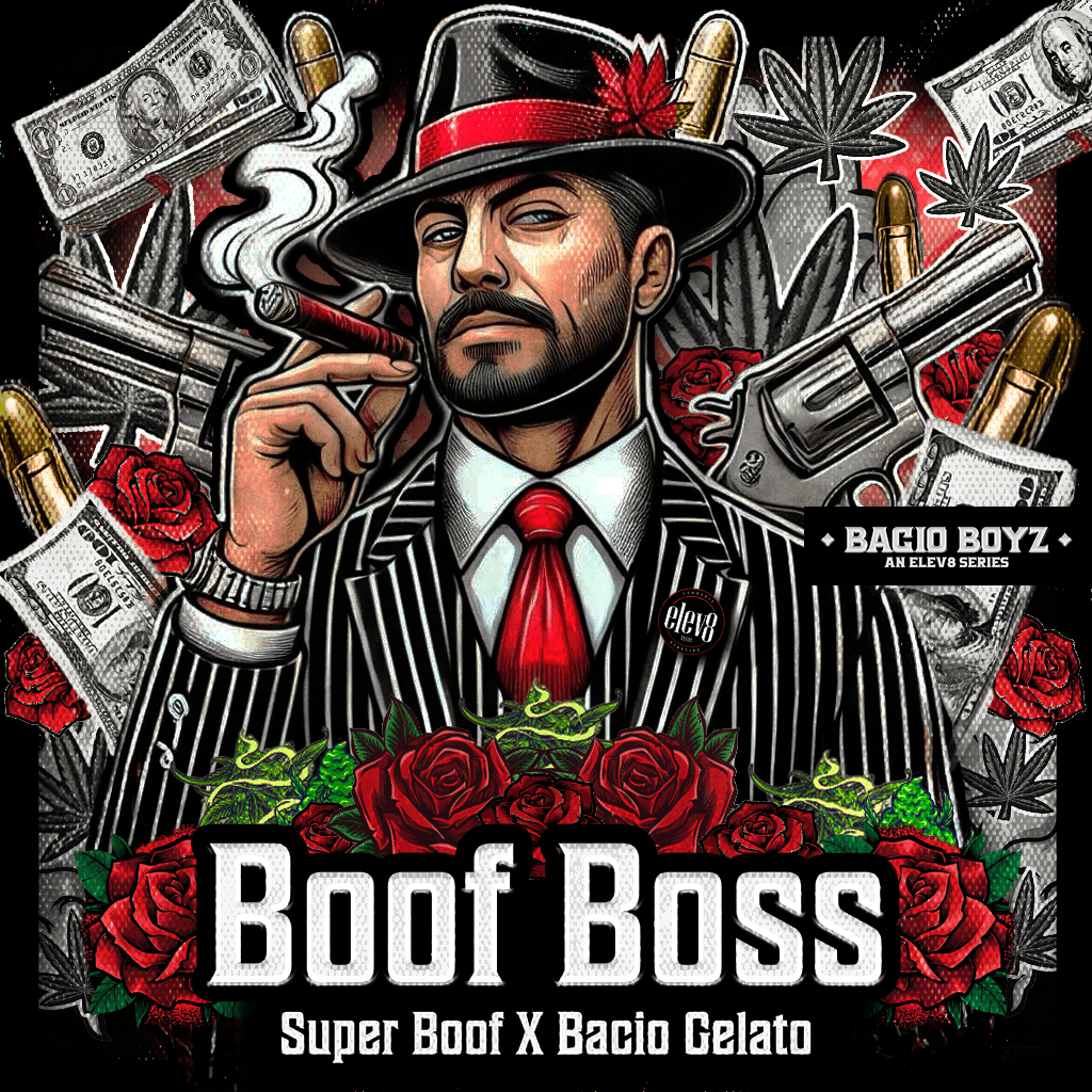 BOOF BOSS 🍊🍦🍭