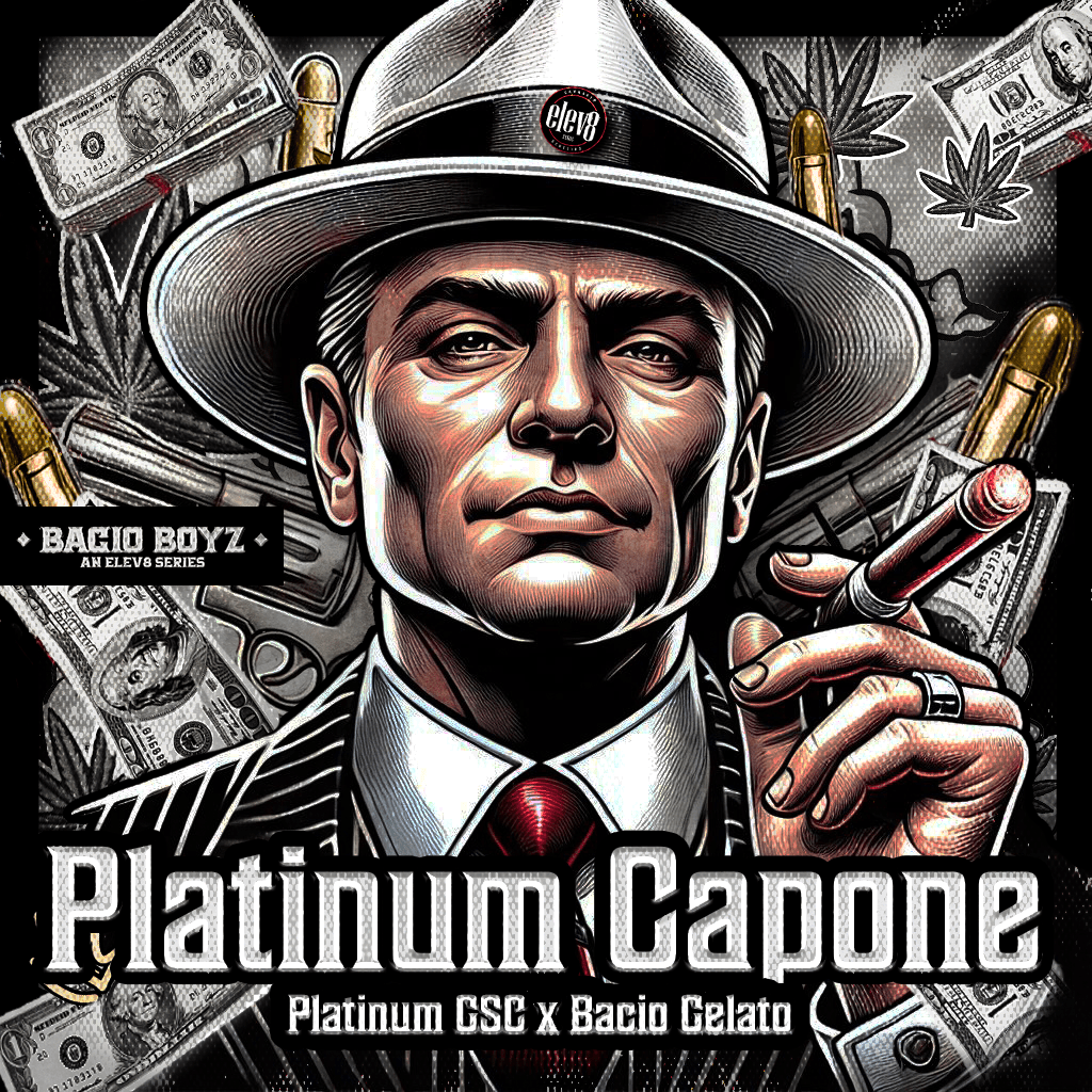 PLATINUM CAPONE 🫐🍦⛽️