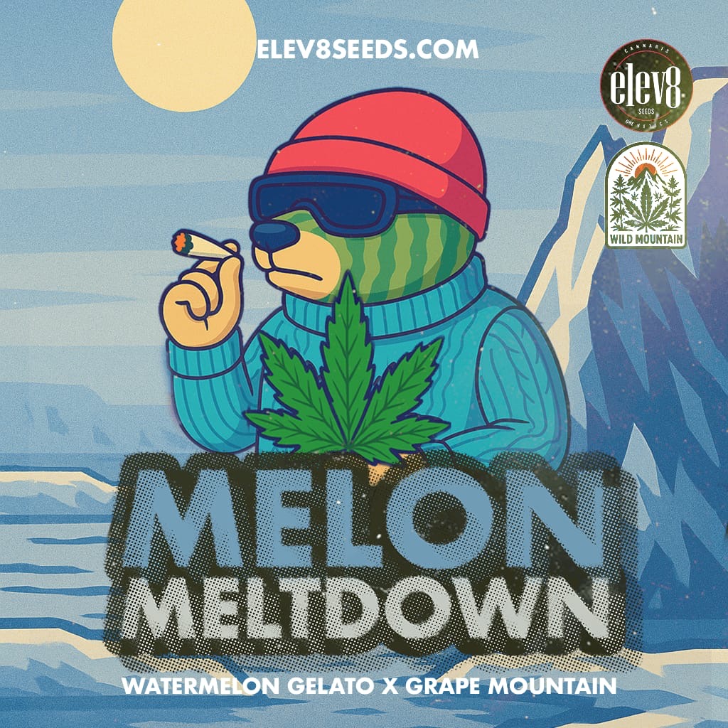 MELÓN MELTDONW 🍉🍦🍊