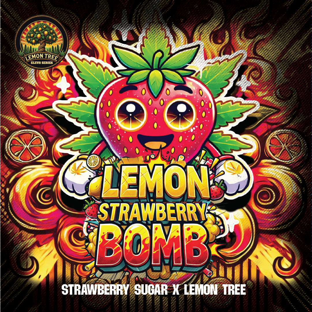 LEMON STRAWBERRY BOMB 🍋🍓🍭
