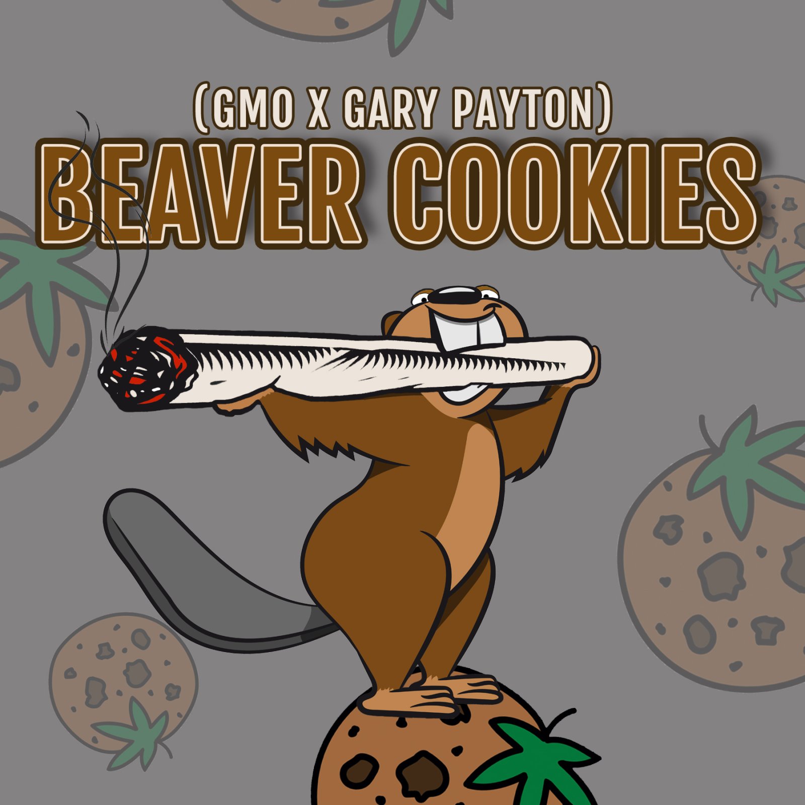 BEAVER COOKIES 🧄🍪⛽️