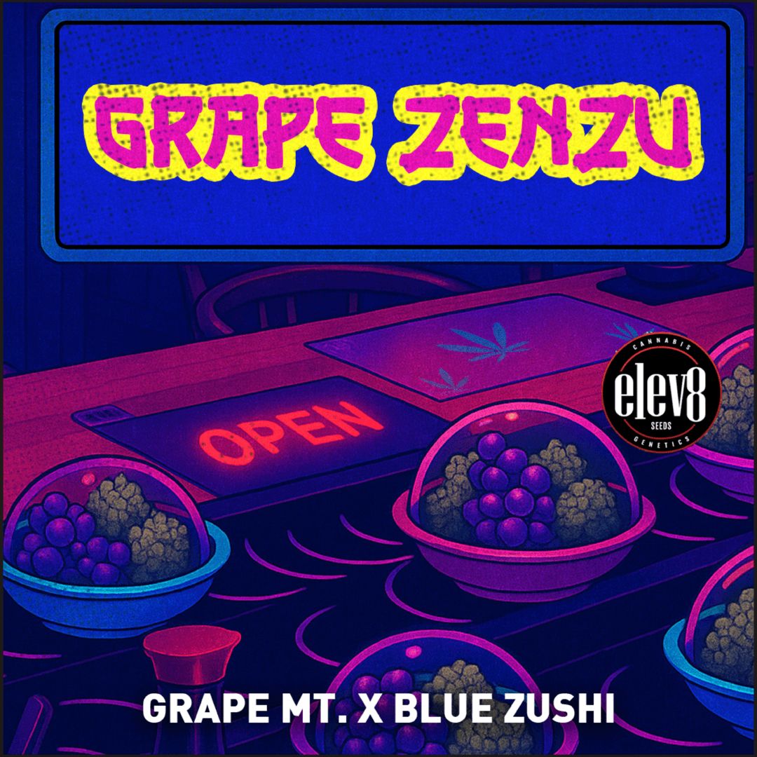 GRAPE ZENZU 🍇🍇⛽️