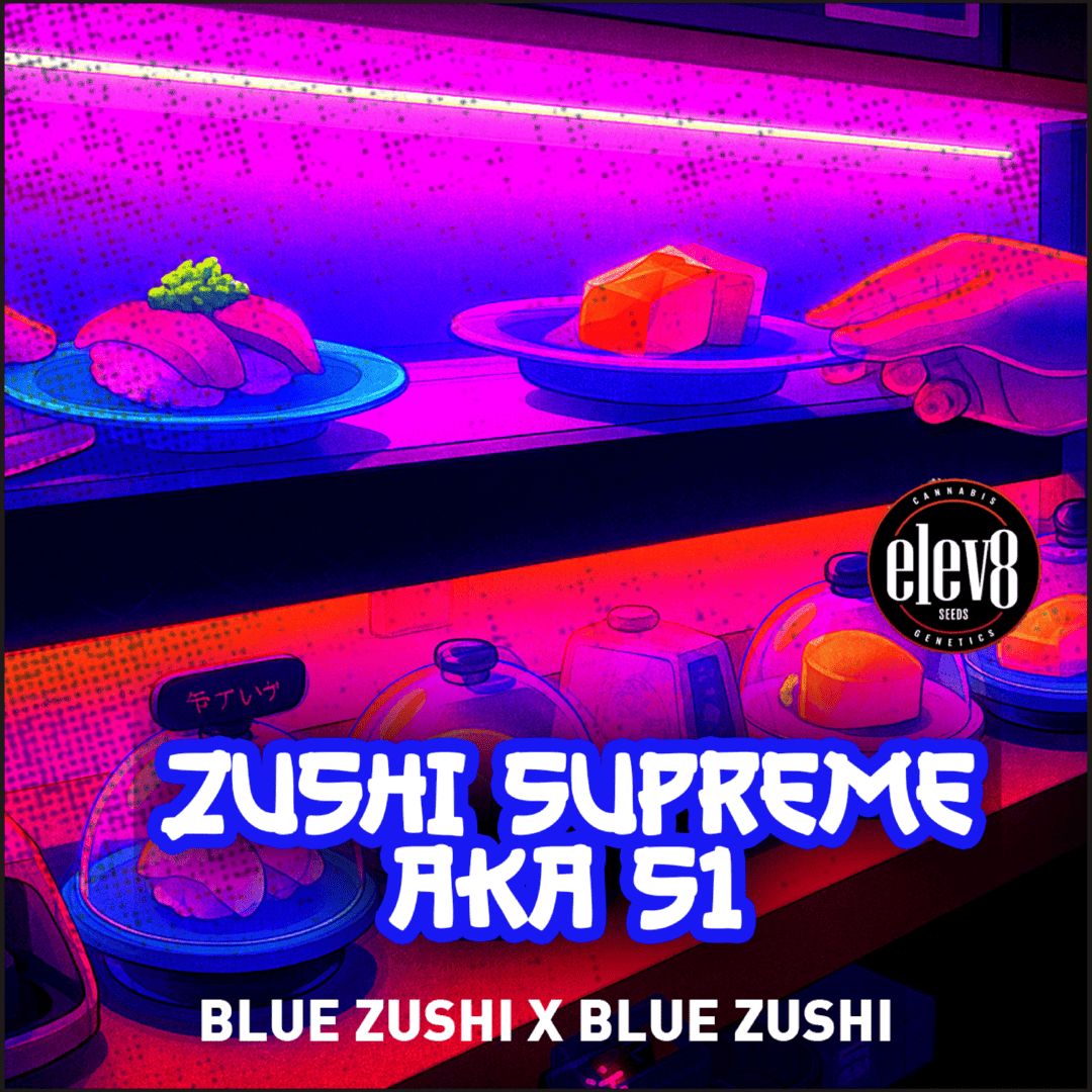BLUE ZUSHI S1 🫐🍦⛽️